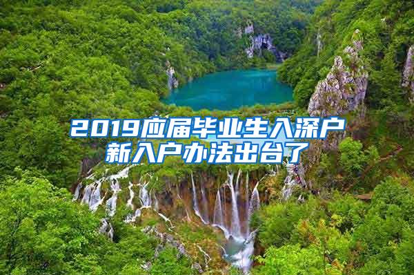 2019应届毕业生入深户新入户办法出台了