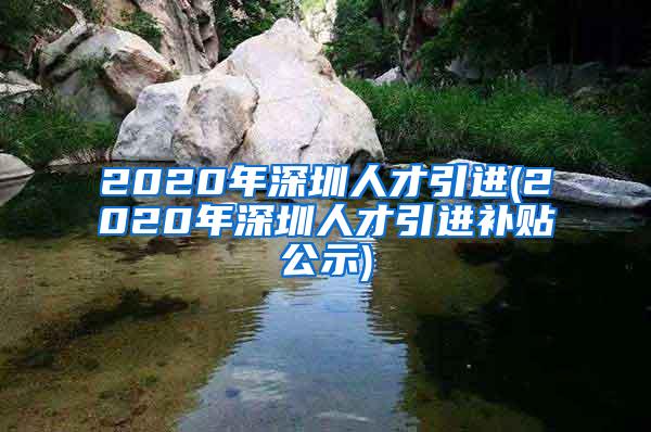 2020年深圳人才引进(2020年深圳人才引进补贴公示)