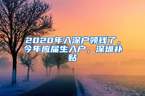 2020年入深户领钱了，今年应届生入户，深圳补贴