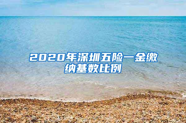 2020年深圳五险一金缴纳基数比例