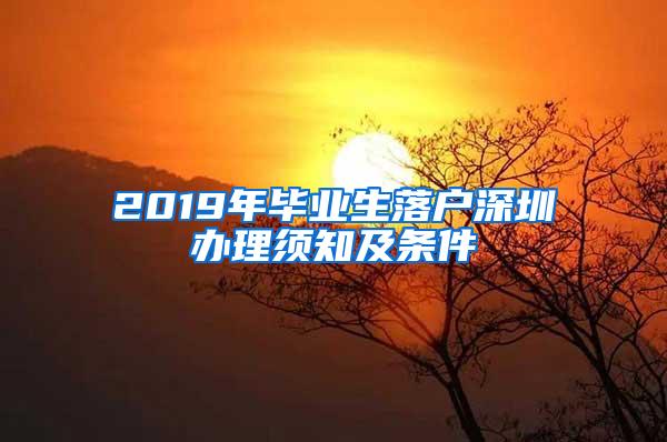 2019年毕业生落户深圳办理须知及条件