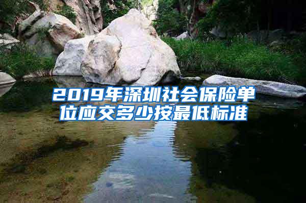 2019年深圳社会保险单位应交多少按最低标准