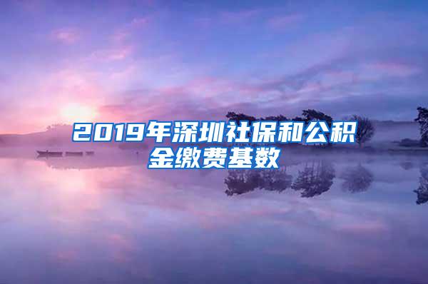 2019年深圳社保和公积金缴费基数