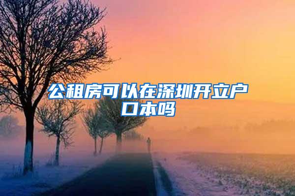 公租房可以在深圳开立户口本吗