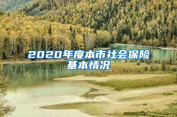 2020年度本市社会保险基本情况