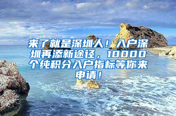 来了就是深圳人！入户深圳再添新途径，10000个纯积分入户指标等你来申请！