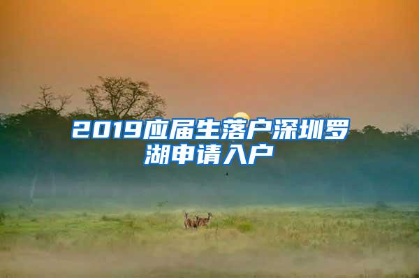 2019应届生落户深圳罗湖申请入户