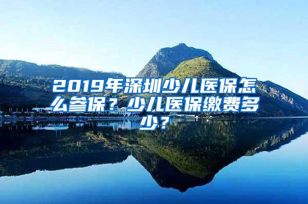 2019年深圳少儿医保怎么参保？少儿医保缴费多少？