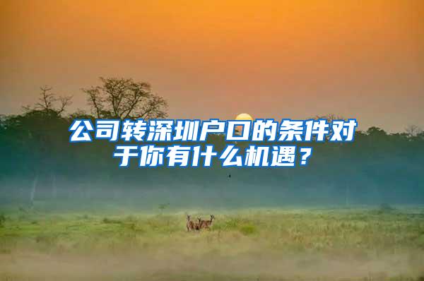 公司转深圳户口的条件对于你有什么机遇？