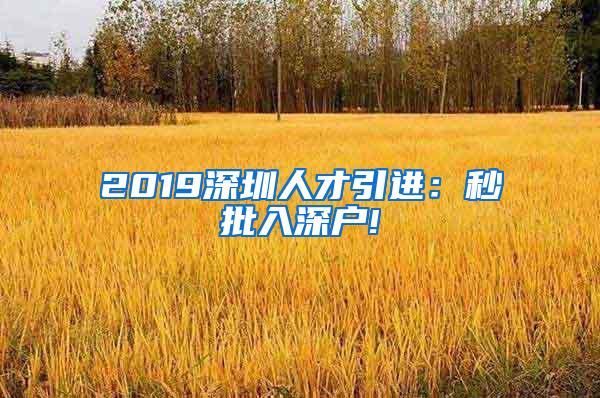 2019深圳人才引进：秒批入深户!