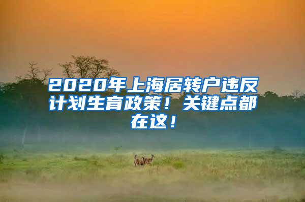 2020年上海居转户违反计划生育政策！关键点都在这！