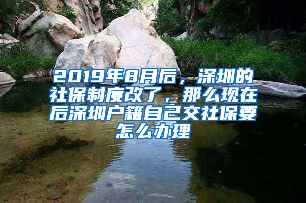 2019年8月后，深圳的社保制度改了，那么现在后深圳户籍自己交社保要怎么办理