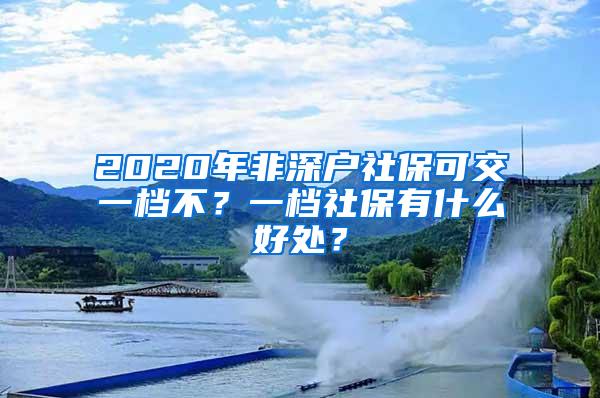 2020年非深户社保可交一档不？一档社保有什么好处？