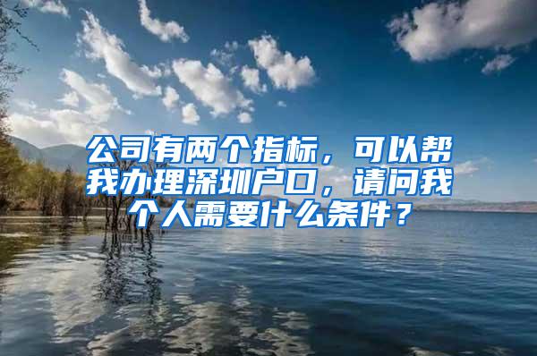 公司有两个指标，可以帮我办理深圳户口，请问我个人需要什么条件？