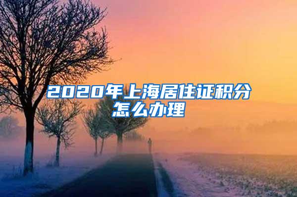 2020年上海居住证积分怎么办理