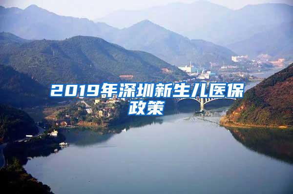 2019年深圳新生儿医保政策