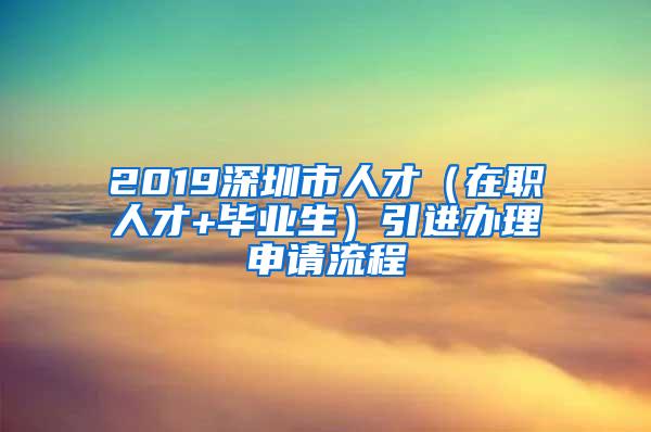 2019深圳市人才（在职人才+毕业生）引进办理申请流程