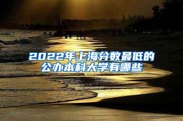 2022年上海分数最低的公办本科大学有哪些