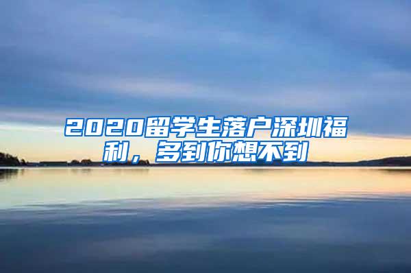 2020留学生落户深圳福利，多到你想不到