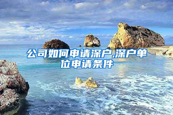 公司如何申请深户,深户单位申请条件