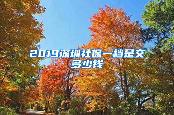 2019深圳社保一档是交多少钱