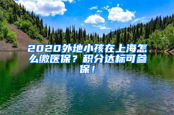 2020外地小孩在上海怎么缴医保？积分达标可参保！