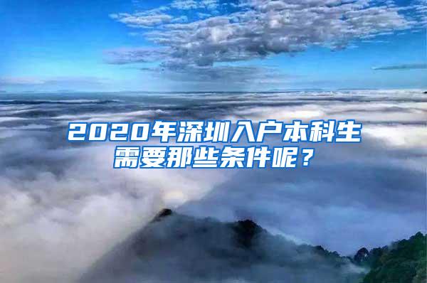 2020年深圳入户本科生需要那些条件呢？