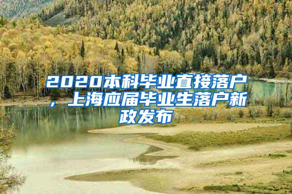 2020本科毕业直接落户，上海应届毕业生落户新政发布