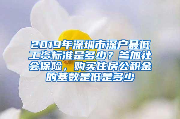 2019年深圳市深户最低工资标准是多少？参加社会保险，购买住房公积金的基数是低是多少