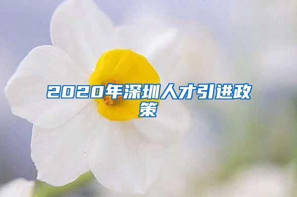 2020年深圳人才引进政策