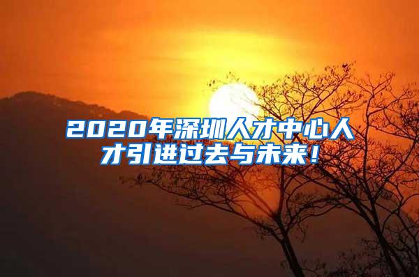 2020年深圳人才中心人才引进过去与未来！