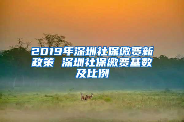 2019年深圳社保缴费新政策 深圳社保缴费基数及比例