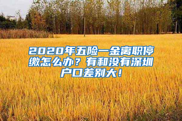 2020年五险一金离职停缴怎么办？有和没有深圳户口差别大！