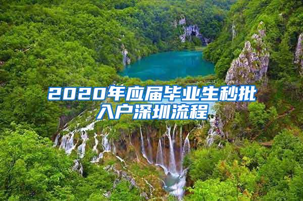 2020年应届毕业生秒批入户深圳流程