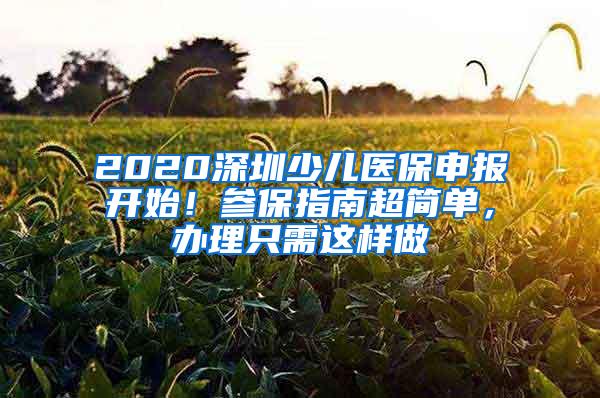 2020深圳少儿医保申报开始！参保指南超简单，办理只需这样做