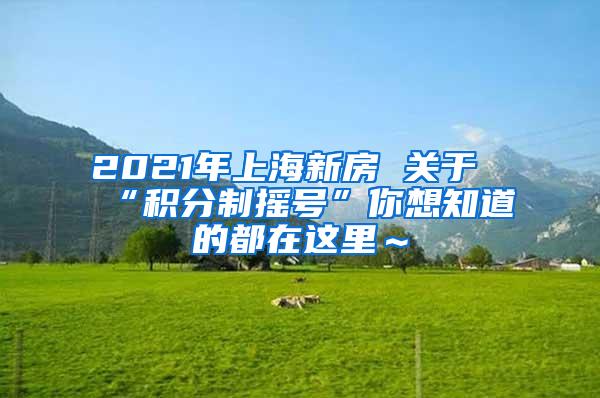 2021年上海新房 关于“积分制摇号”你想知道的都在这里～