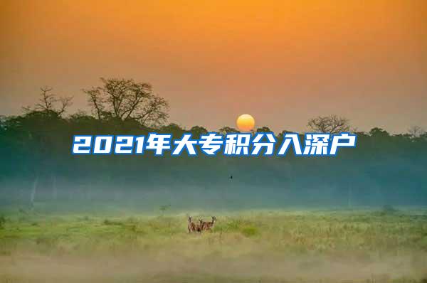 2021年大专积分入深户