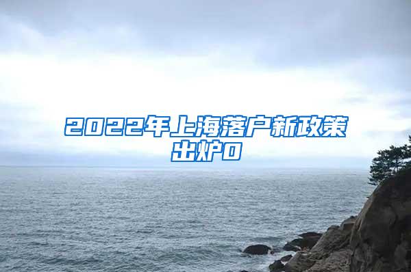 2022年上海落户新政策出炉0