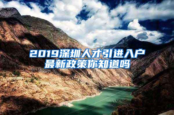 2019深圳人才引进入户最新政策你知道吗