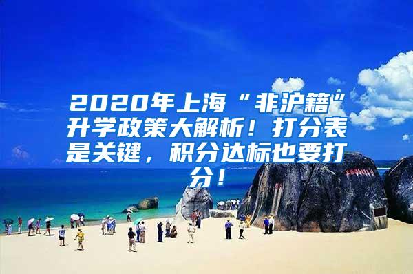 2020年上海“非沪籍”升学政策大解析！打分表是关键，积分达标也要打分！