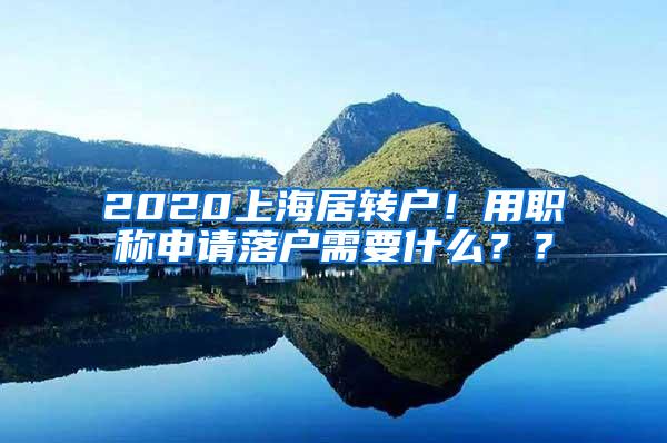 2020上海居转户！用职称申请落户需要什么？？