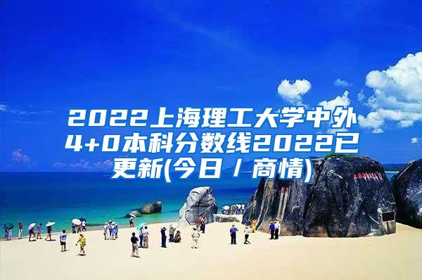 2022上海理工大学中外4+0本科分数线2022已更新(今日／商情)