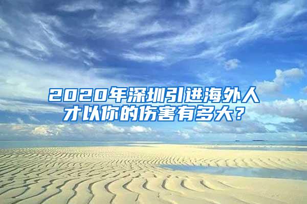 2020年深圳引进海外人才以你的伤害有多大？