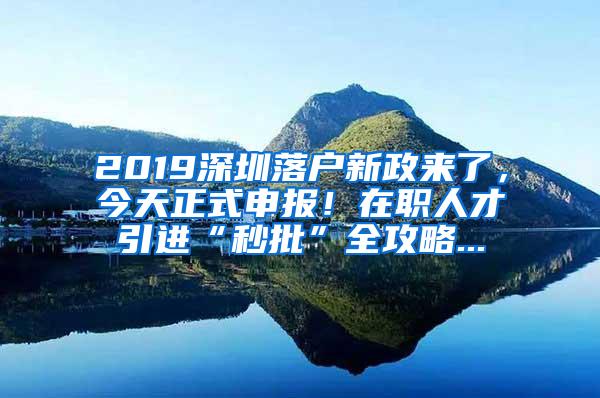 2019深圳落户新政来了，今天正式申报！在职人才引进“秒批”全攻略...