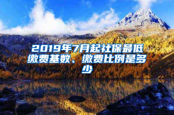 2019年7月起社保最低缴费基数、缴费比例是多少