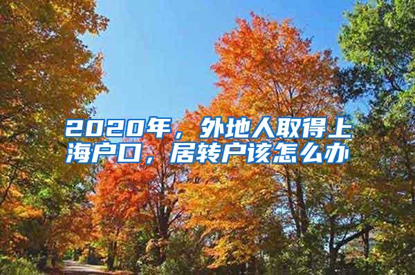 2020年，外地人取得上海户口，居转户该怎么办