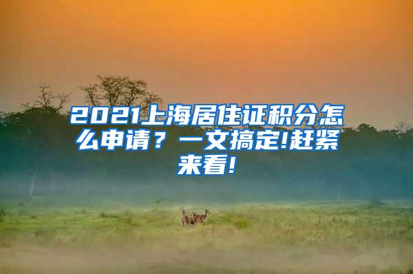 2021上海居住证积分怎么申请？一文搞定!赶紧来看!