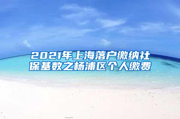 2021年上海落户缴纳社保基数之杨浦区个人缴费