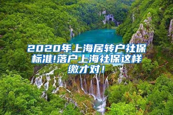 2020年上海居转户社保标准!落户上海社保这样缴才对！