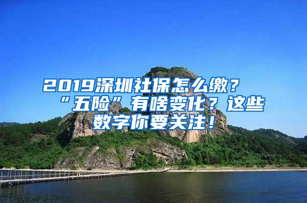 2019深圳社保怎么缴？“五险”有啥变化？这些数字你要关注！